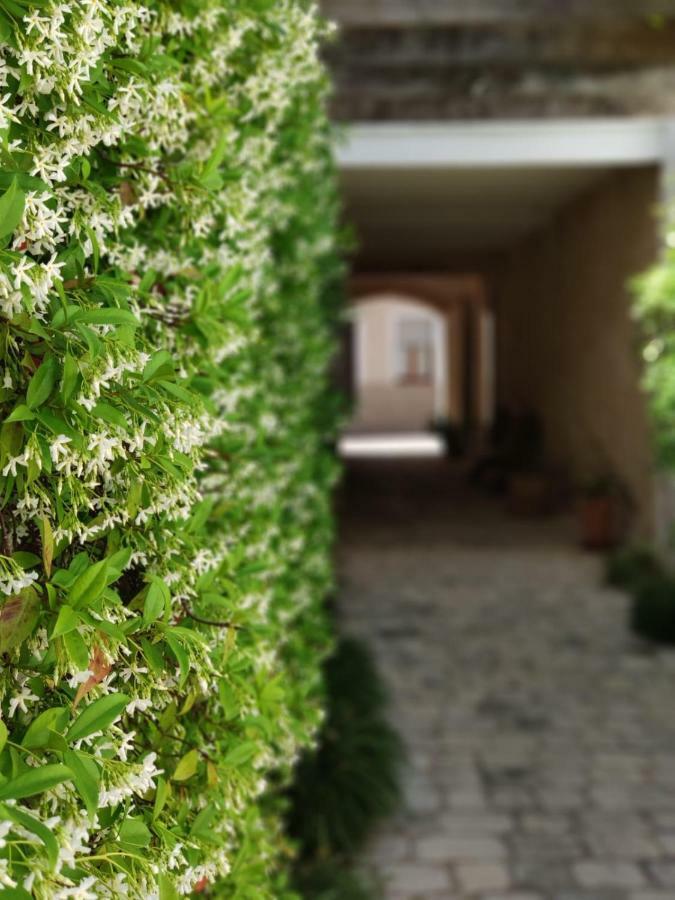 Coliving Add Livitum Ξενοδοχείο Ciutadella  Εξωτερικό φωτογραφία